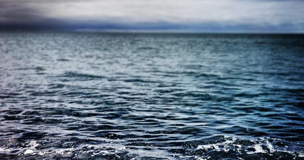 Ranking de las furgonetas y furgones más vendidos hasta mayo de 2026