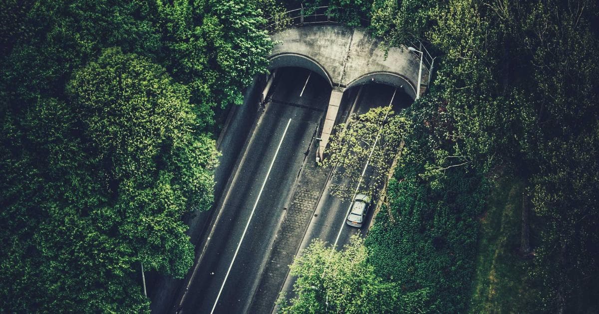 South Carolina Makes UTVs Road Legal: What You Need to Know About the New Law