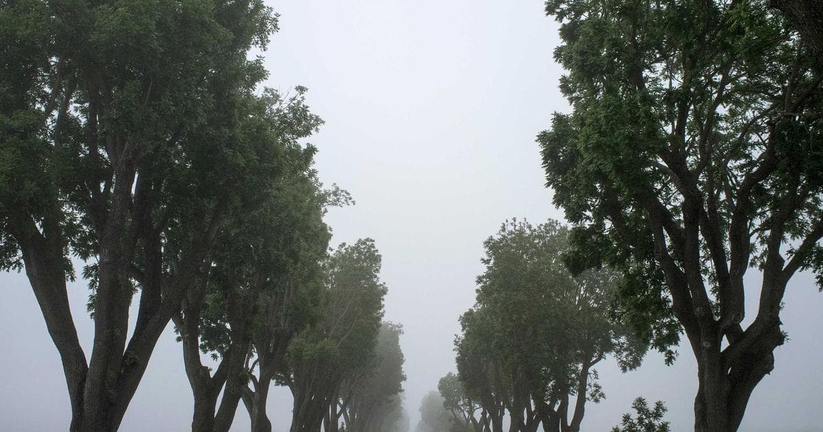 Uruguay EV Sales Report: BEVs Surpass 40% Market Share in May 2026 as ICEV Sales Decline