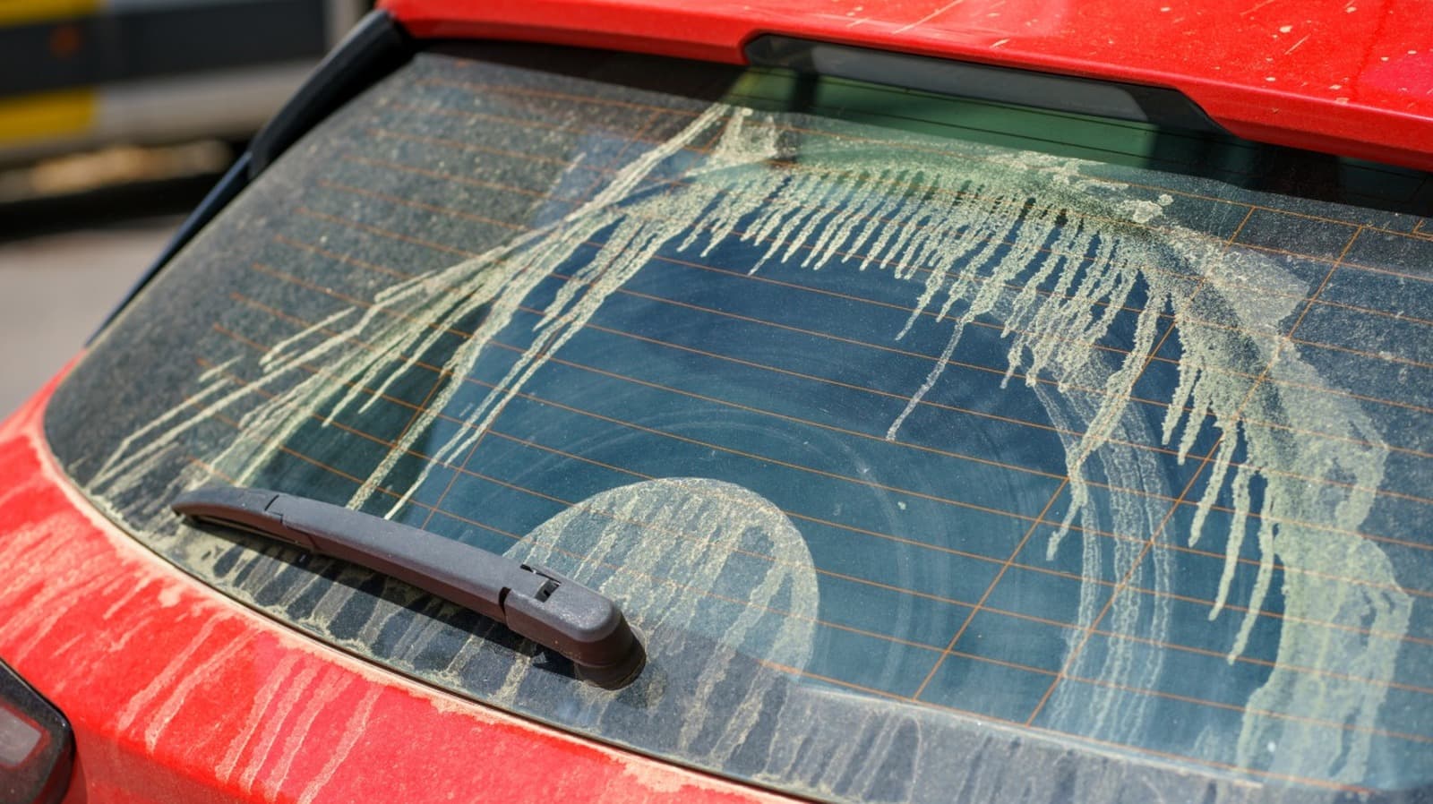 Pollen Isn't Just Bad For Your Allergies — It Can Wreak Havoc On Your Car Too